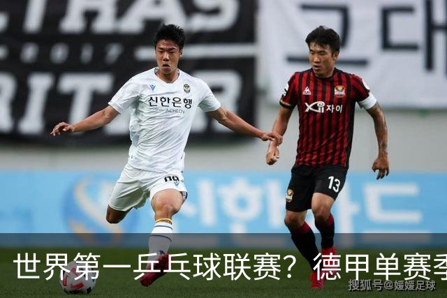世界第一乒乓球联赛？德甲单赛季曝光量8亿，樊振东价值无以复加