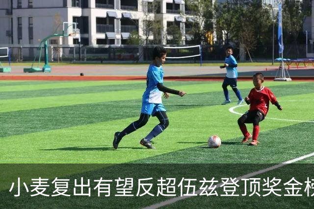 小麦复出有望反超伍兹登顶奖金榜