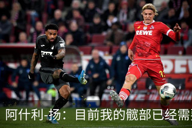 阿什利-扬：目前我的髋部已经需要接受髋关节置换手术